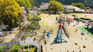 霧島市の城山公園内と桜を観覧車から見下ろした風景