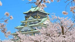 桜の背景にお城が見える画像